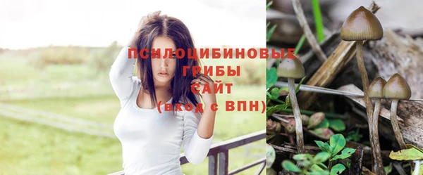 дурь Армянск