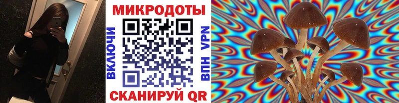 Псилоцибиновые грибы мицелий Куйбышев
