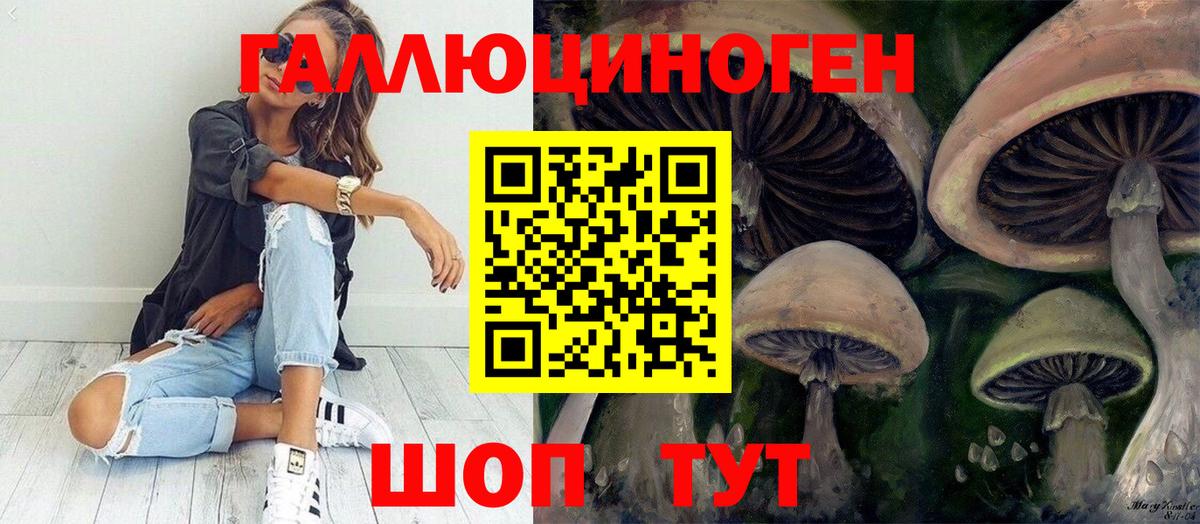 Куйбышев  как найти закладки  Вход с VPN  Псилоцибиновые грибы прущие грибы 